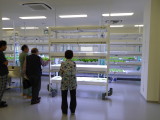 img0033.jpg