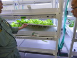 img0035.jpg