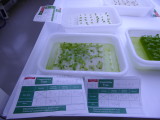 img0037.jpg