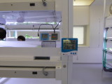 img0042.jpg