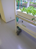 img0050.jpg