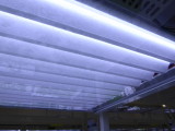 img0051.jpg