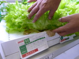 img0052.jpg