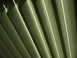 img0053.jpg