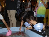 img0013.jpg