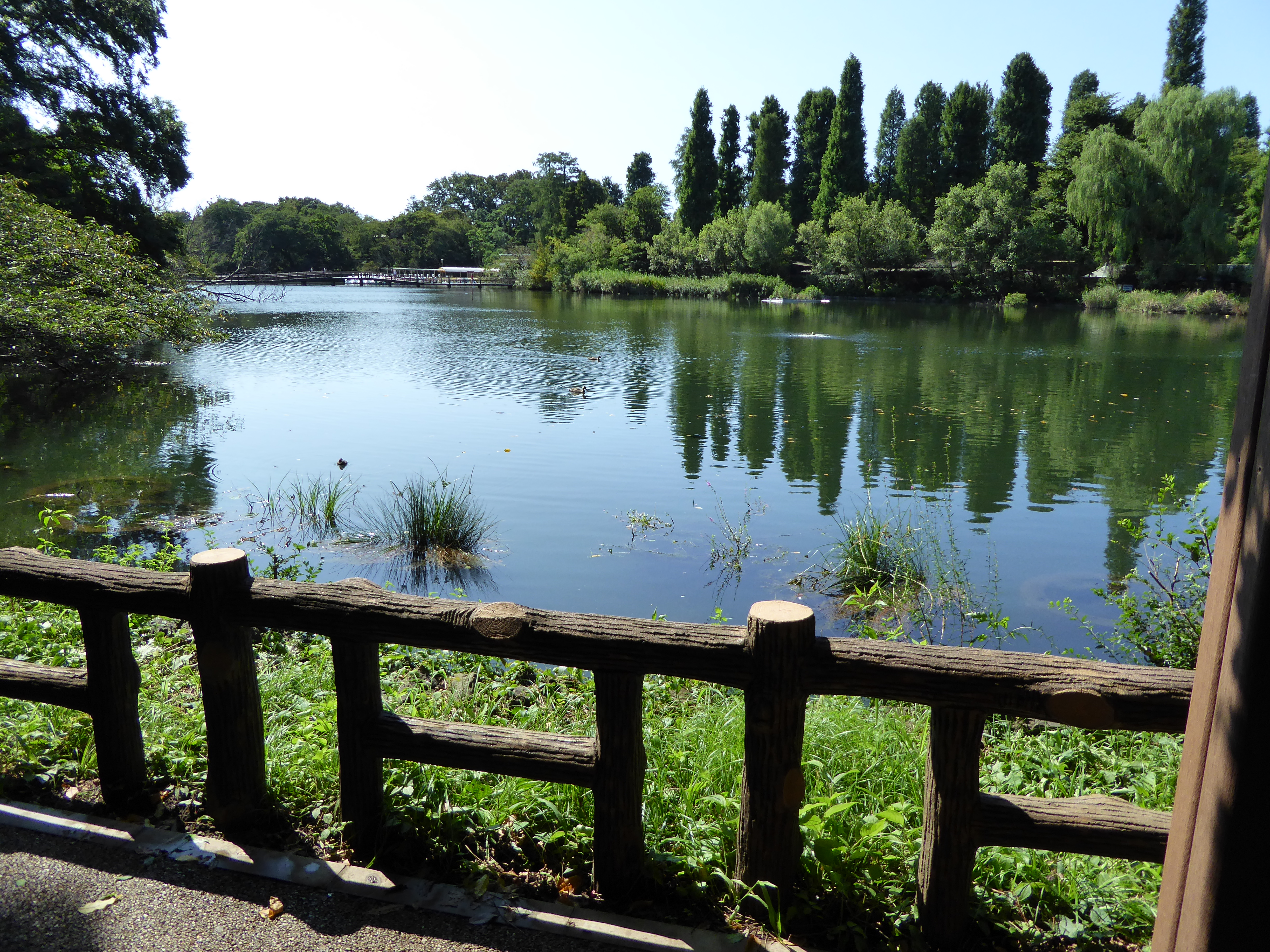 P1000489.JPG