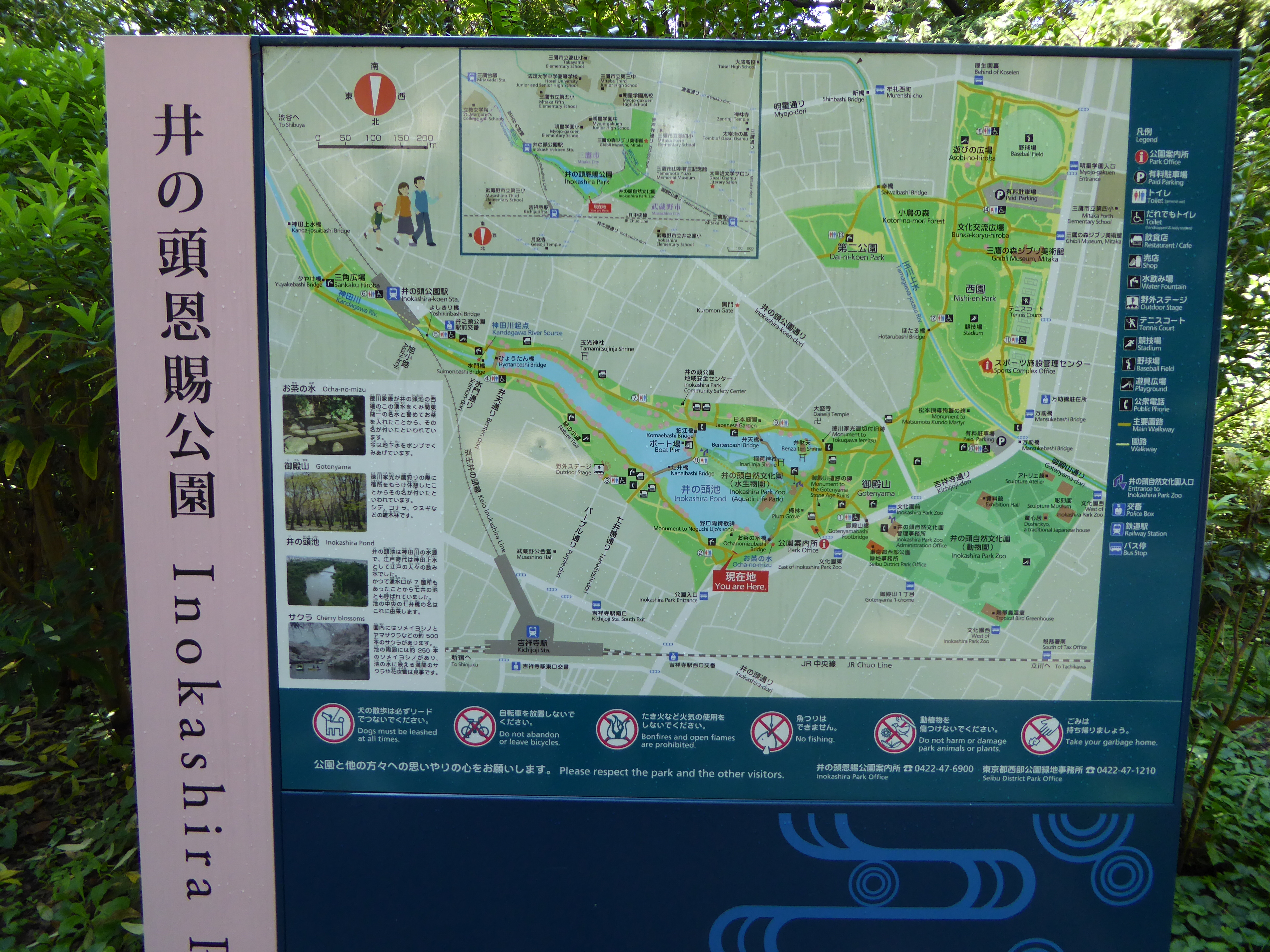 P1000490.JPG