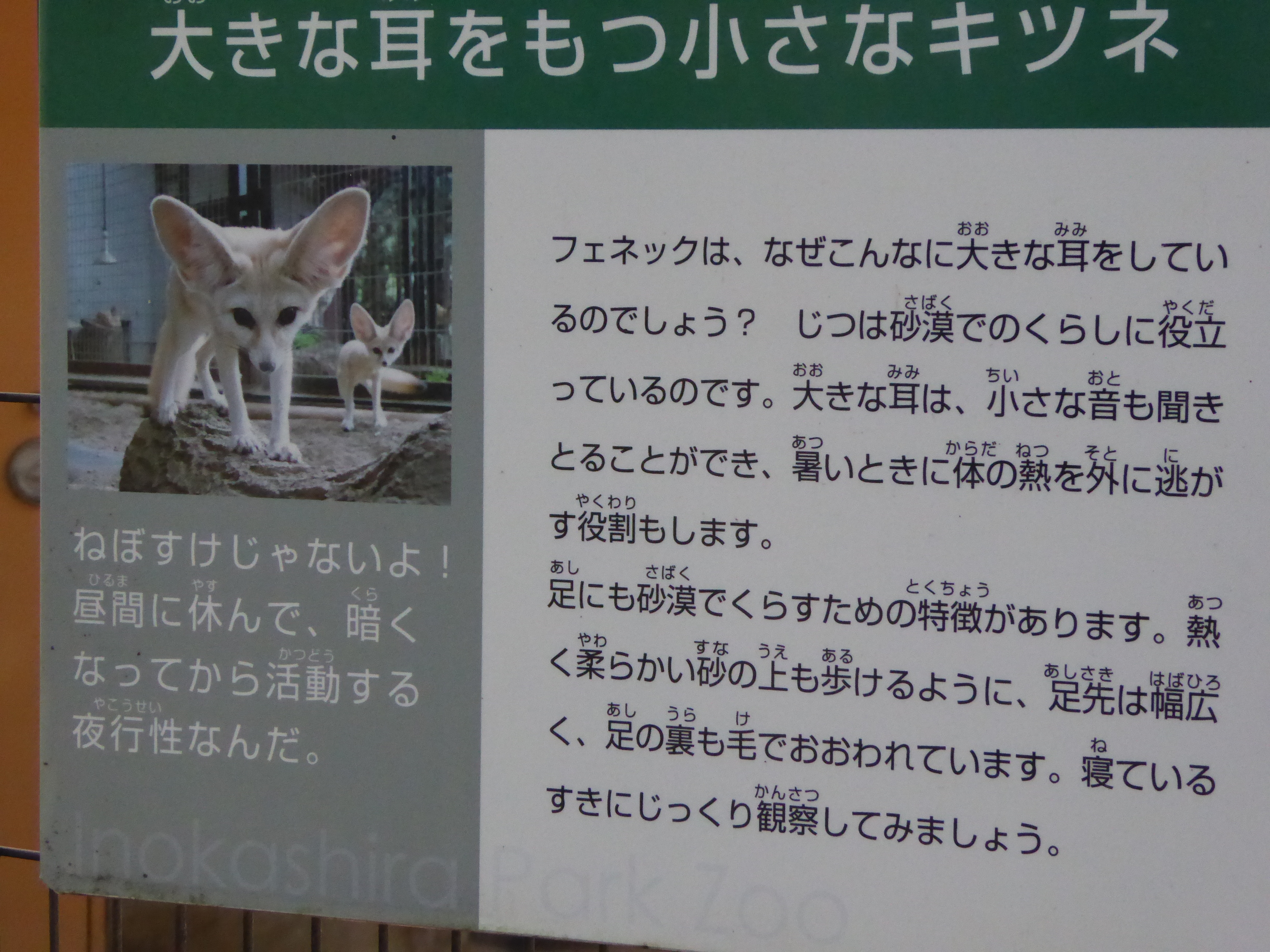 P1000502.JPG