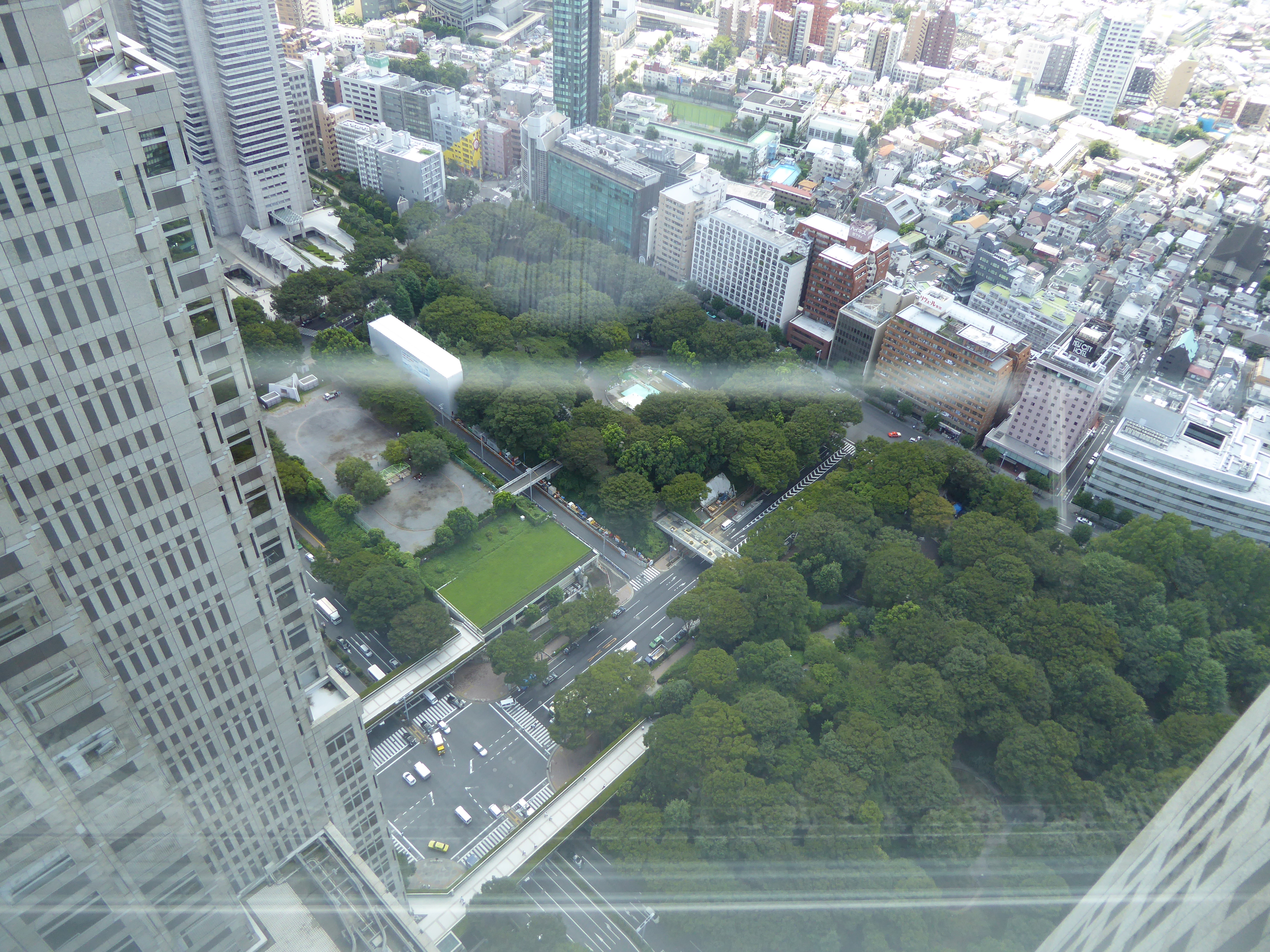 P1000517.JPG