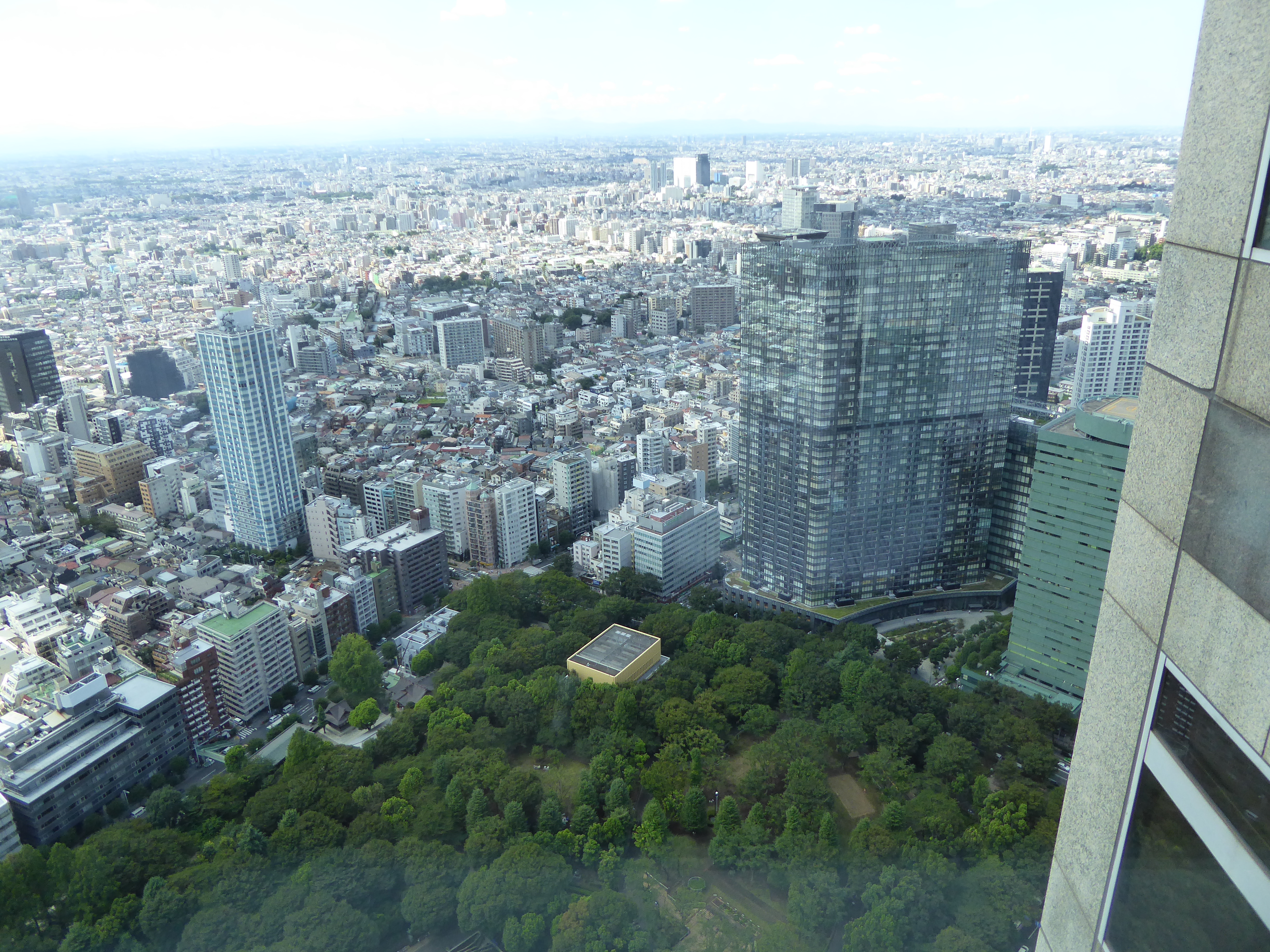 P1000519.JPG