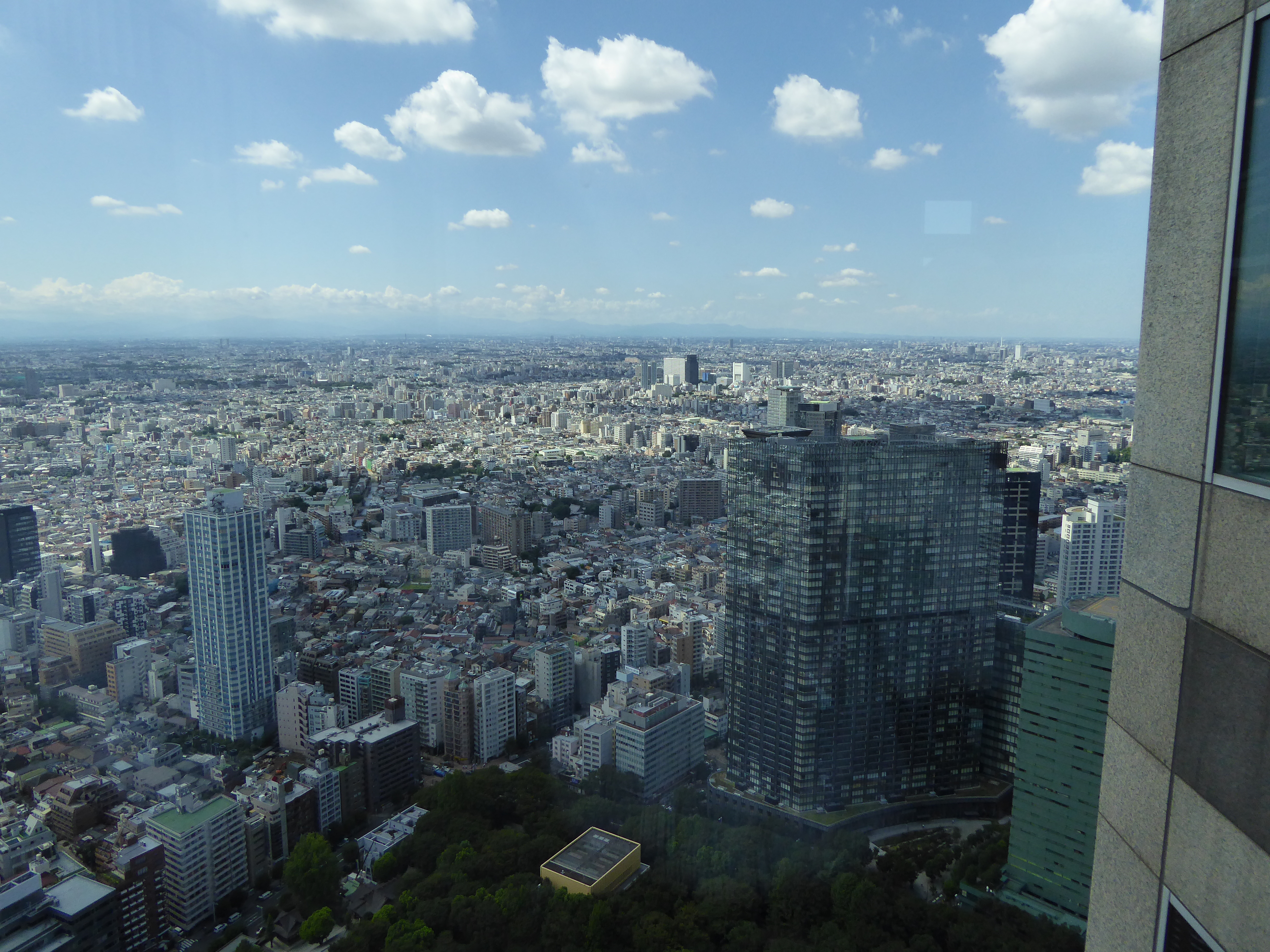 P1000520.JPG
