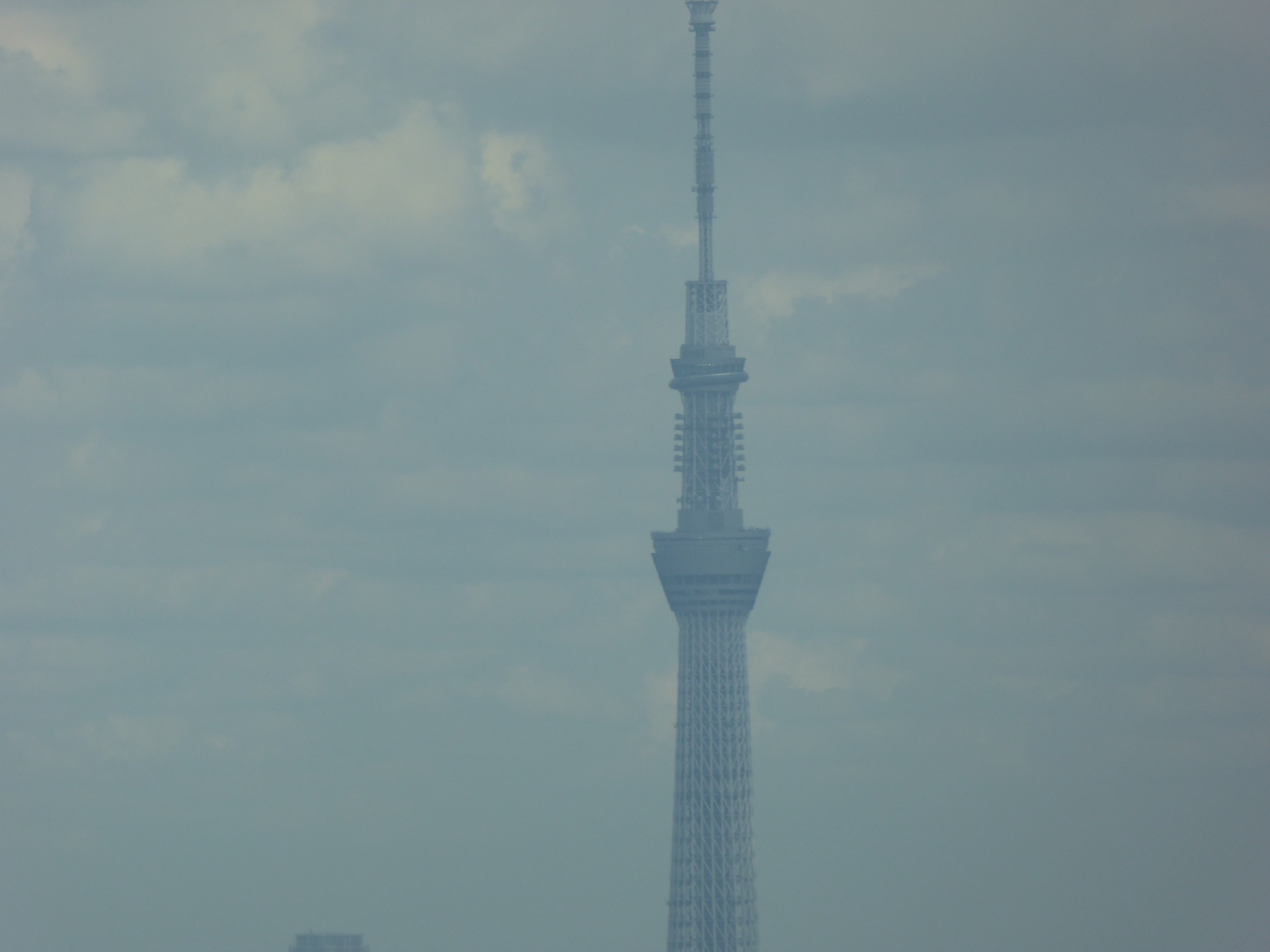 P1000524.JPG