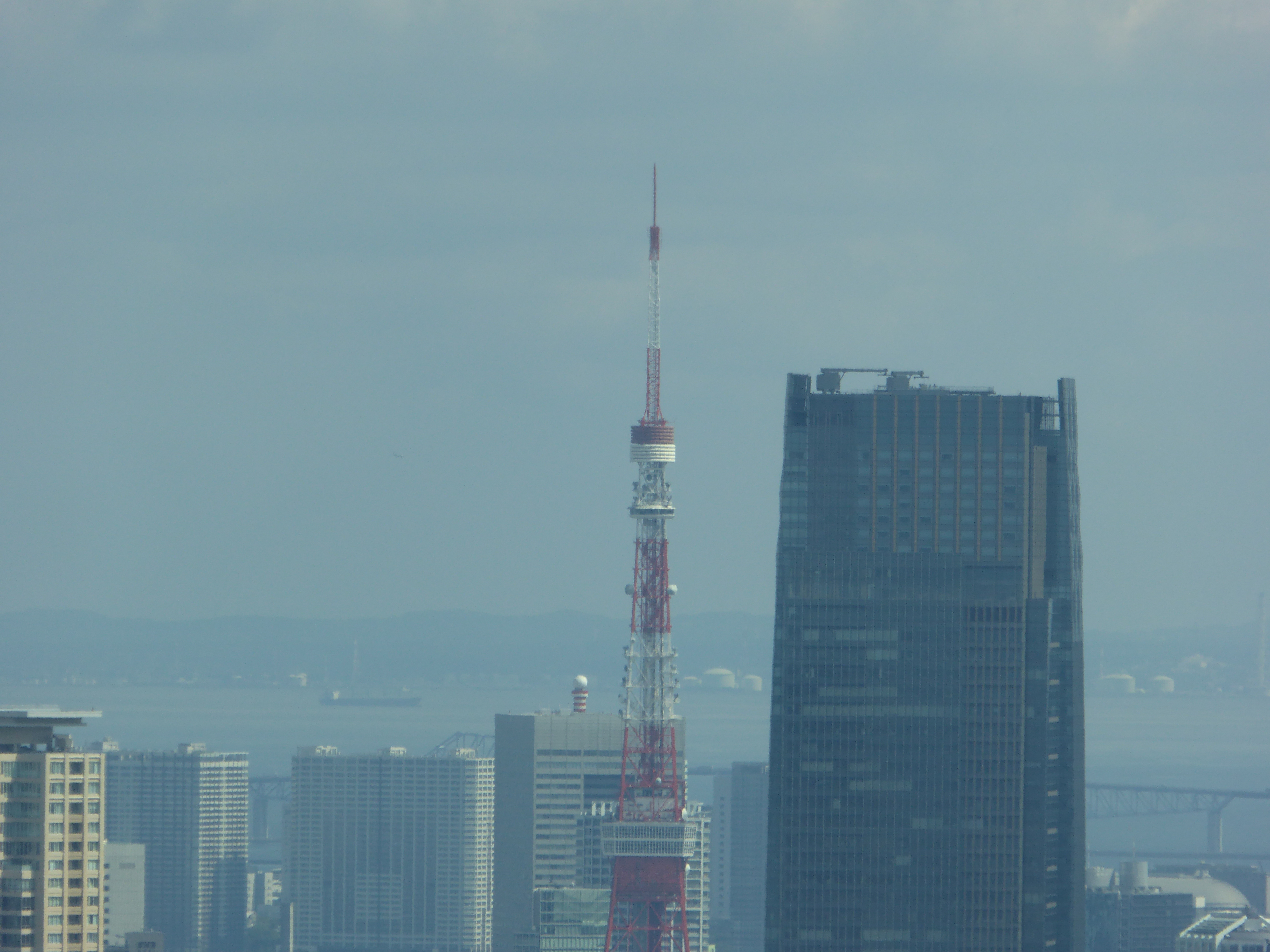 P1000528.JPG