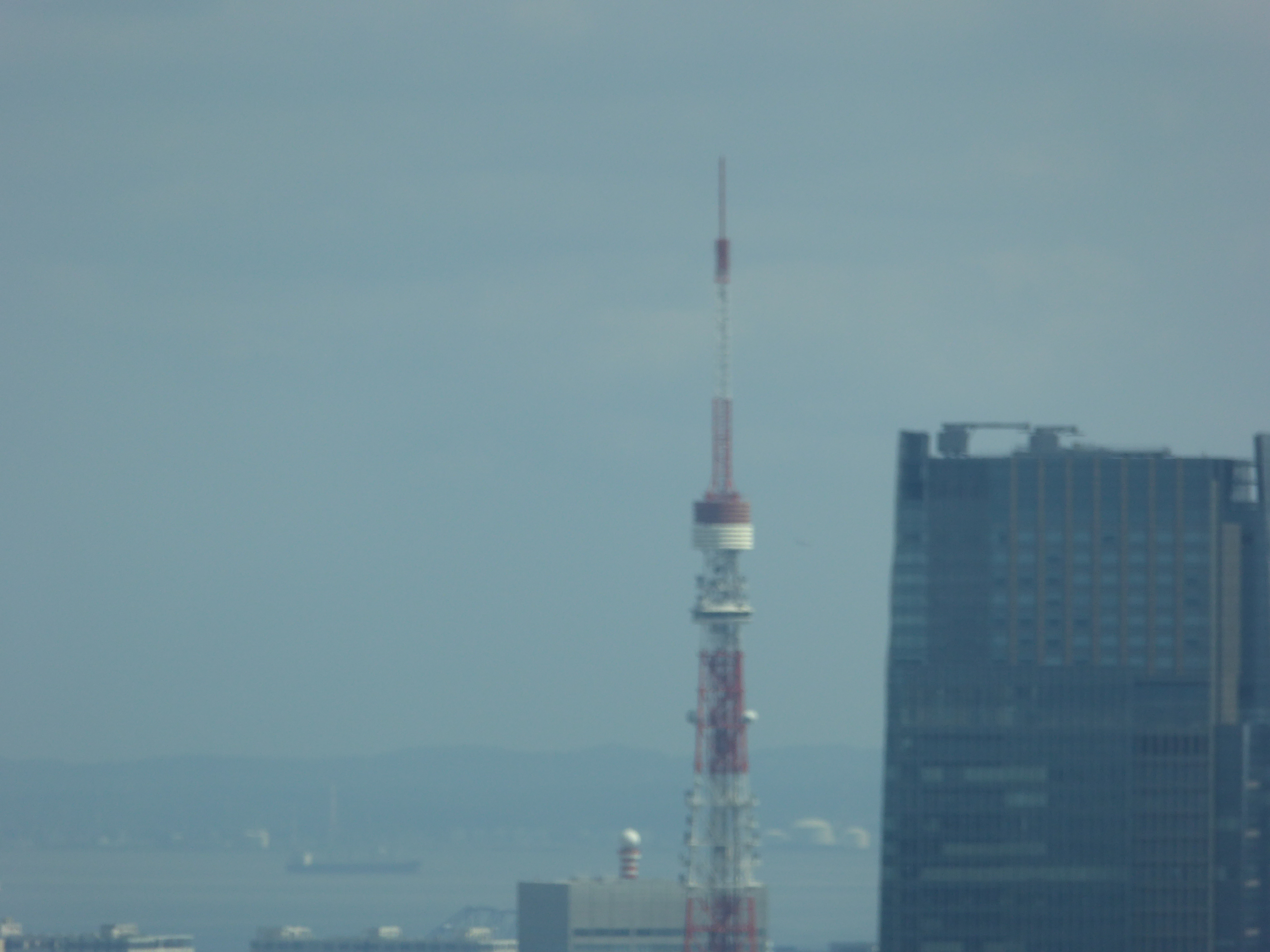 P1000529.JPG