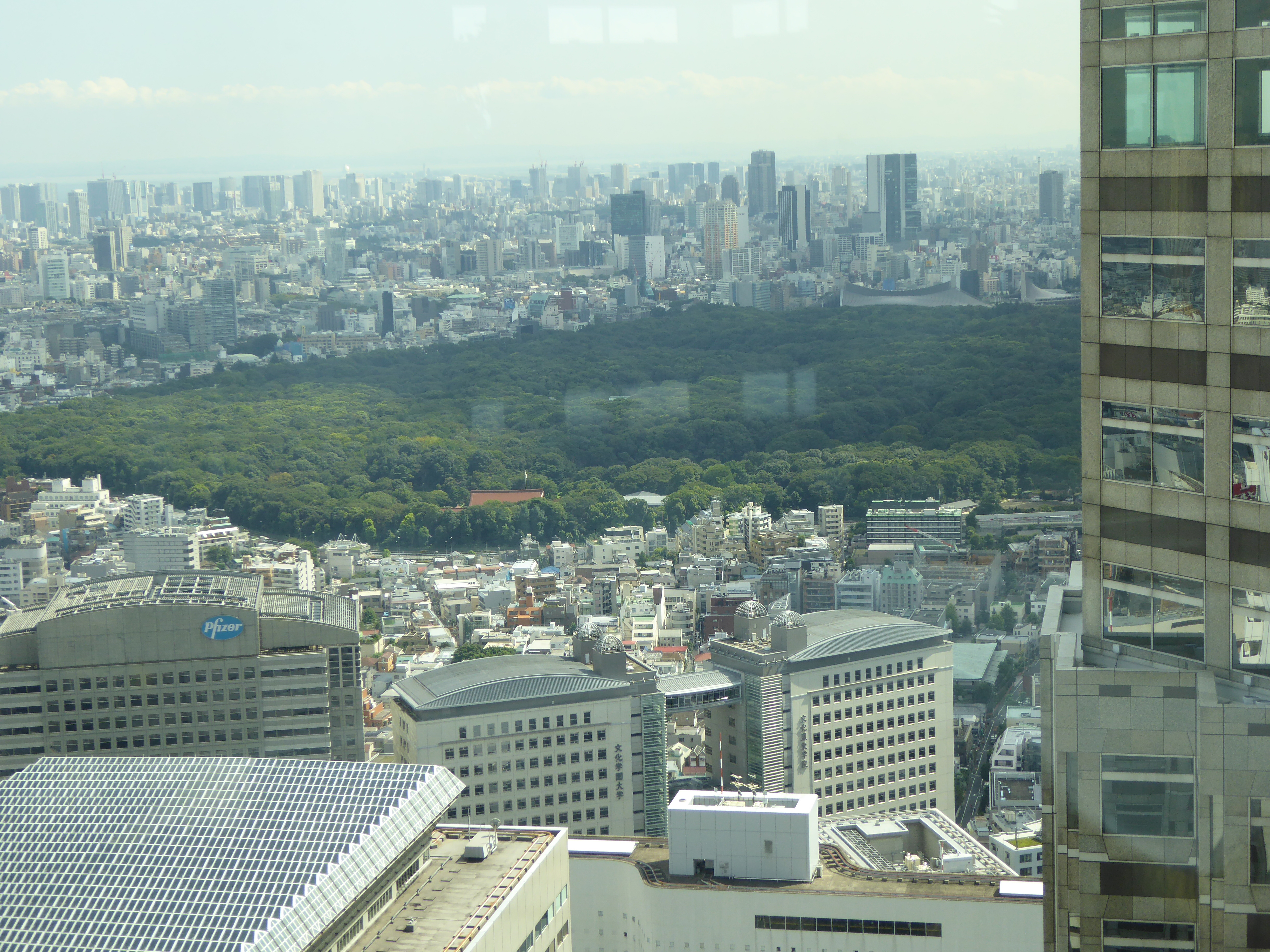 P1000531.JPG