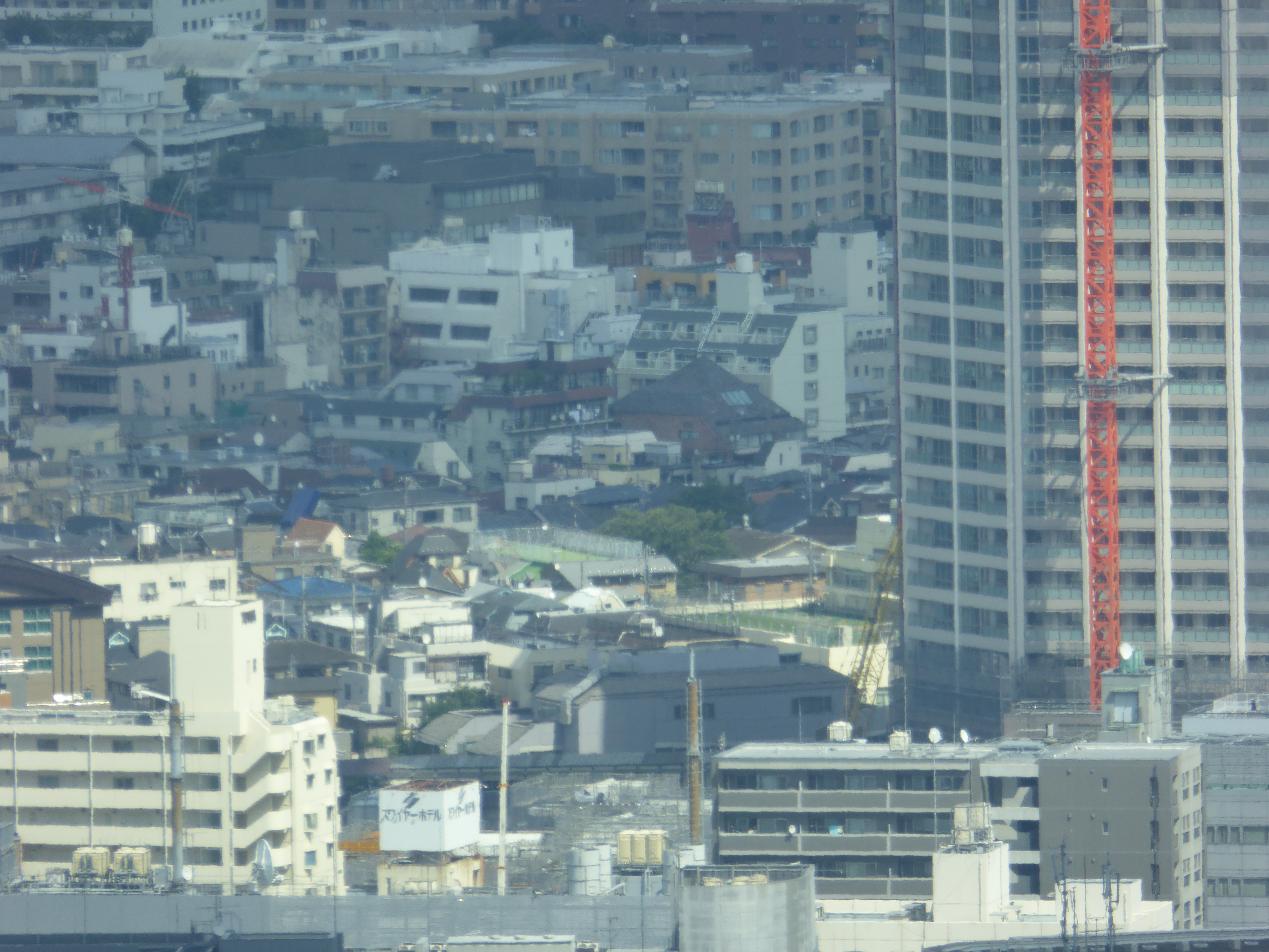 P1000535.JPG