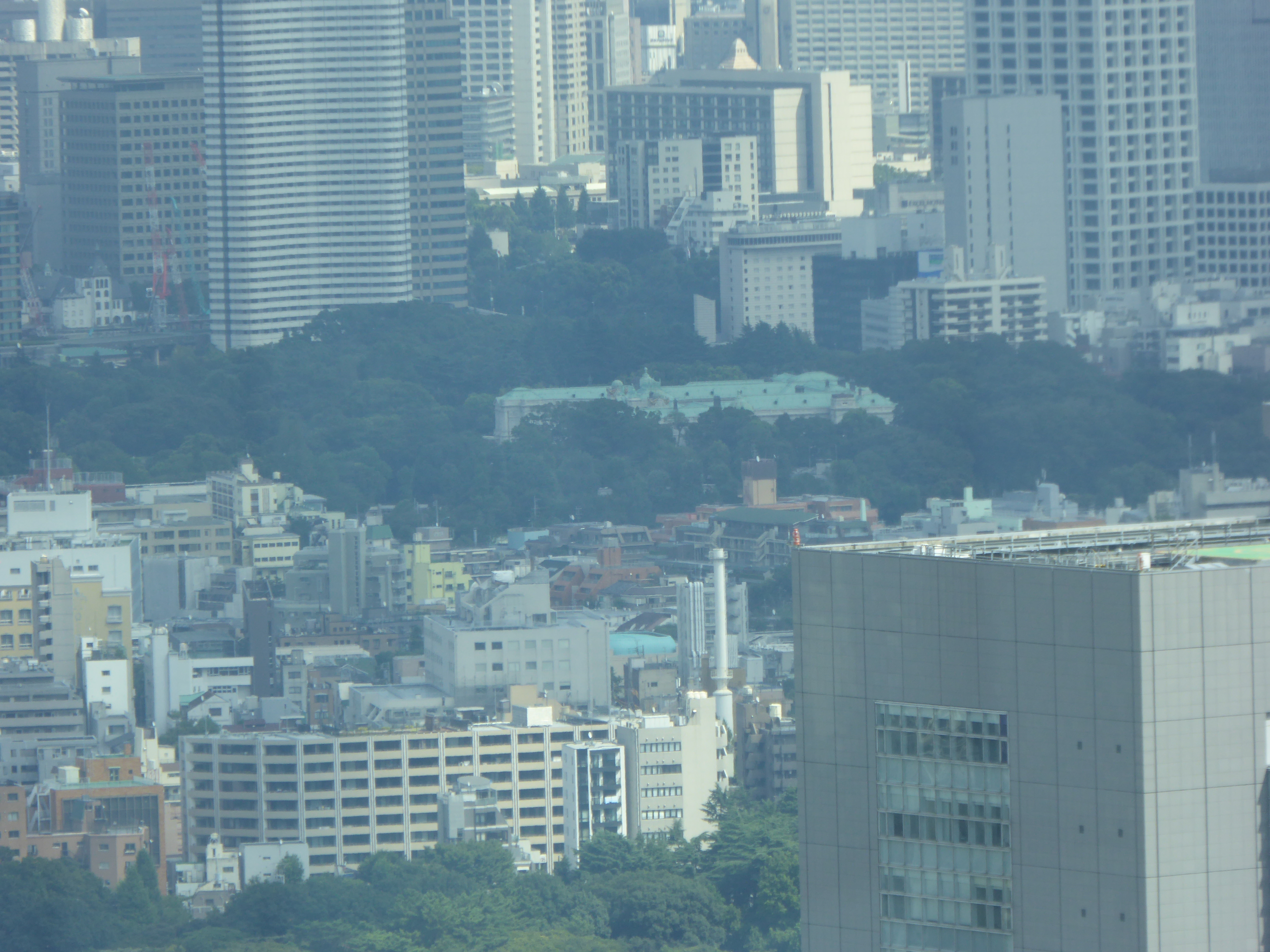 P1000537.JPG