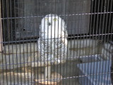 img0006.jpg
