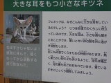 img0007.jpg