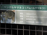 img0011.jpg