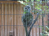 img0013.jpg