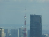 img0028.jpg