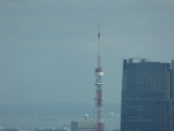 img0029.jpg