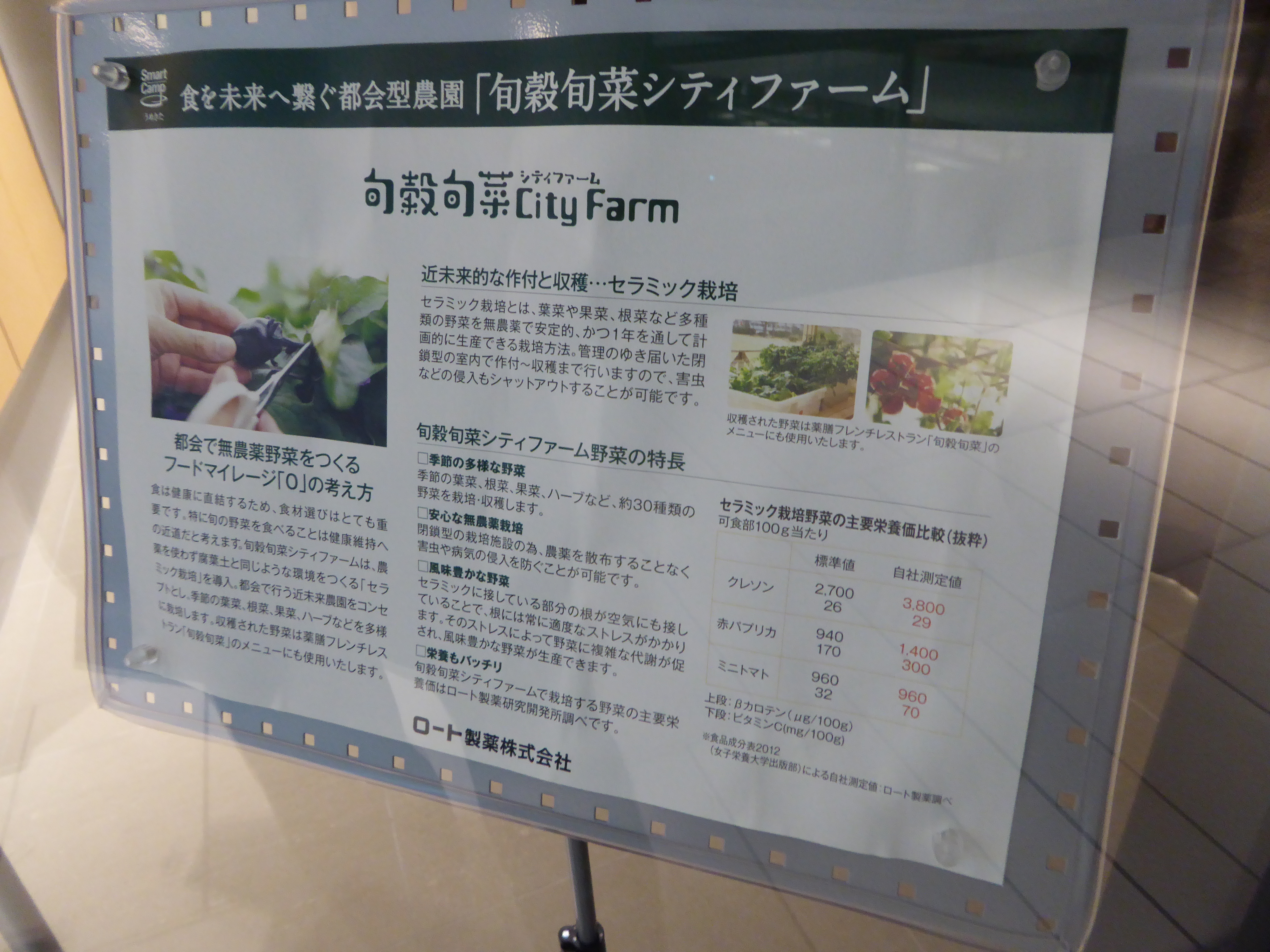 P1000541.JPG