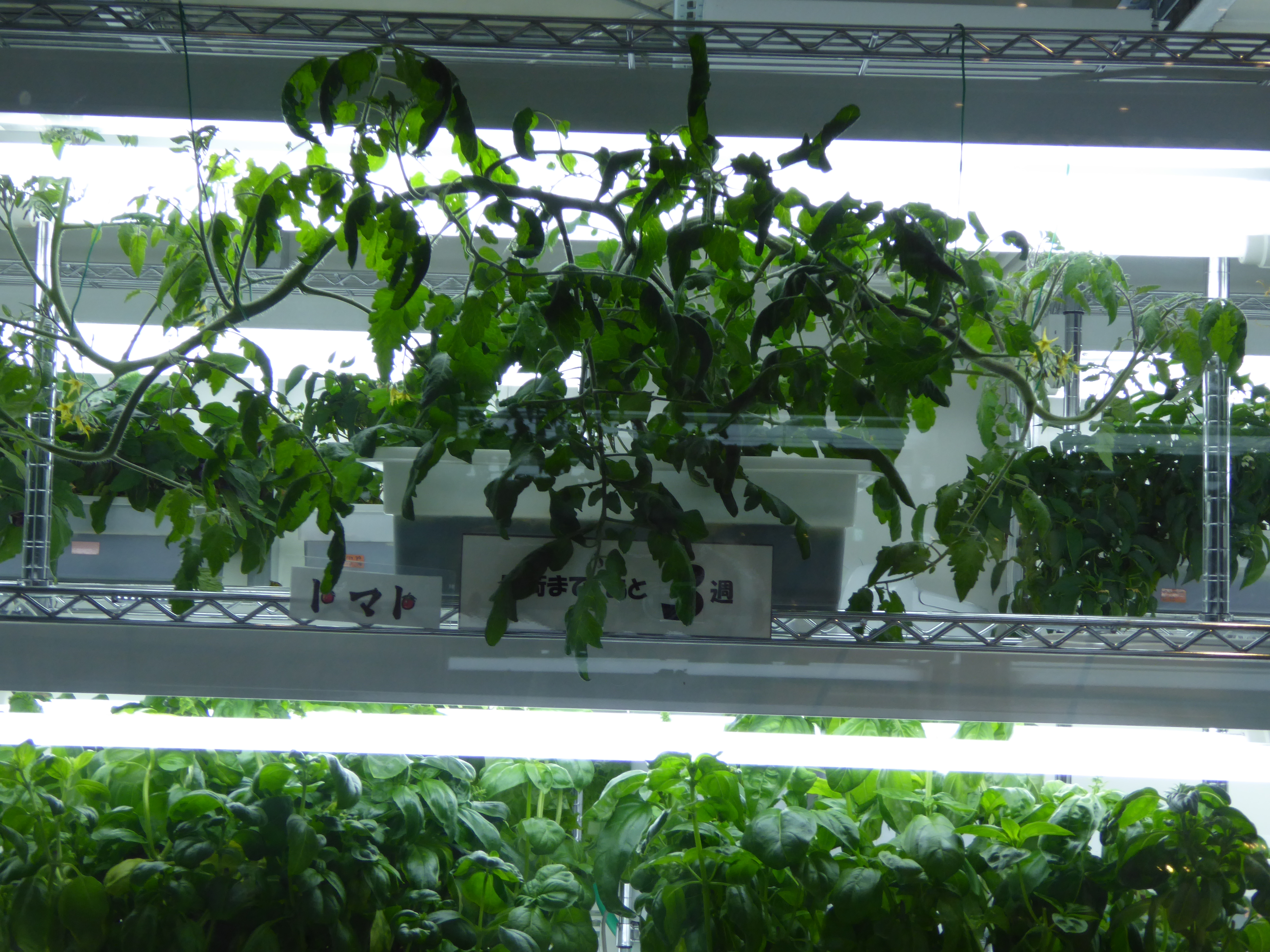 P1000544.JPG