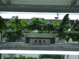 img0005.jpg