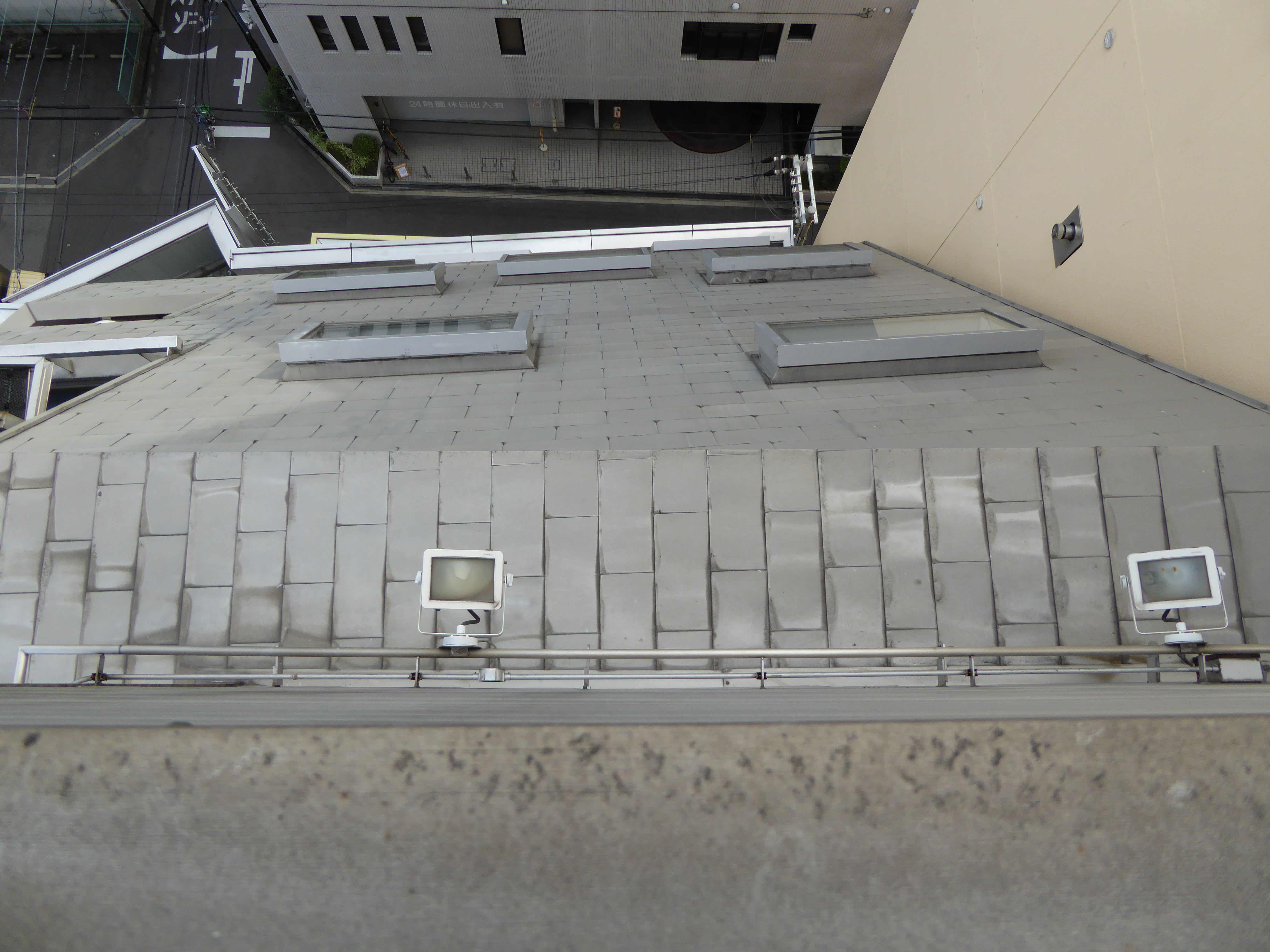 P1000549.JPG