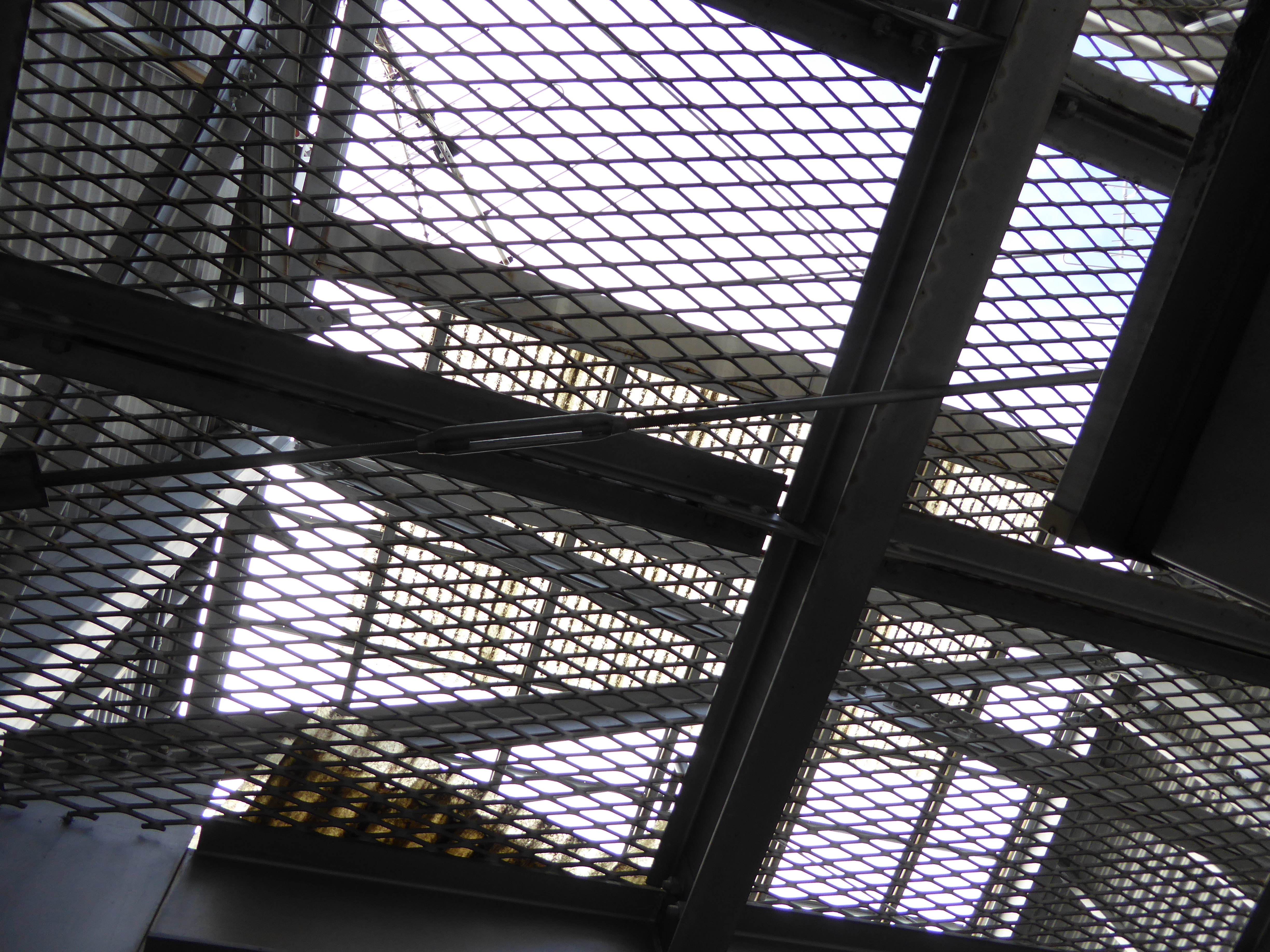 P1000553.JPG