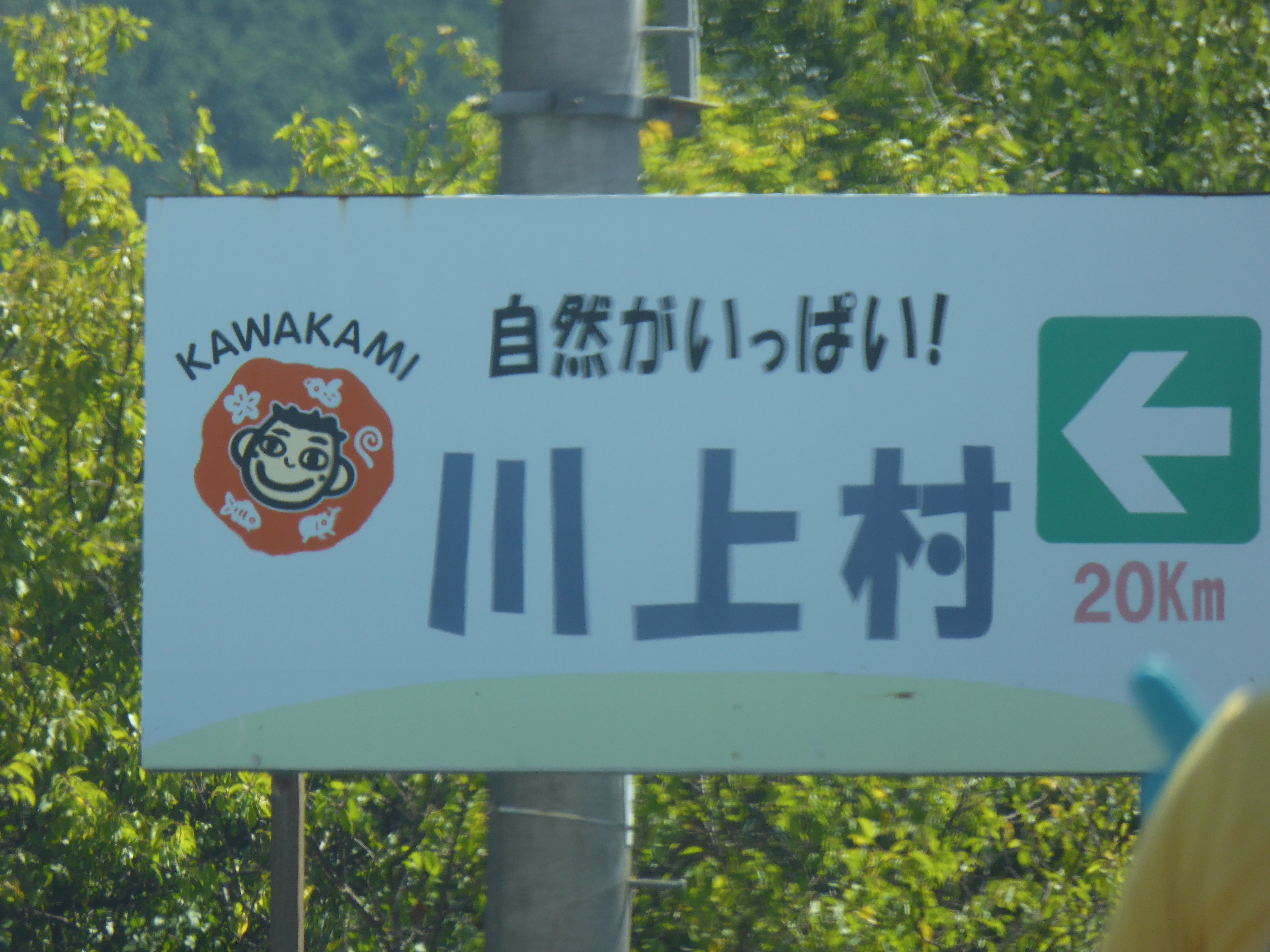 P1000556.JPG