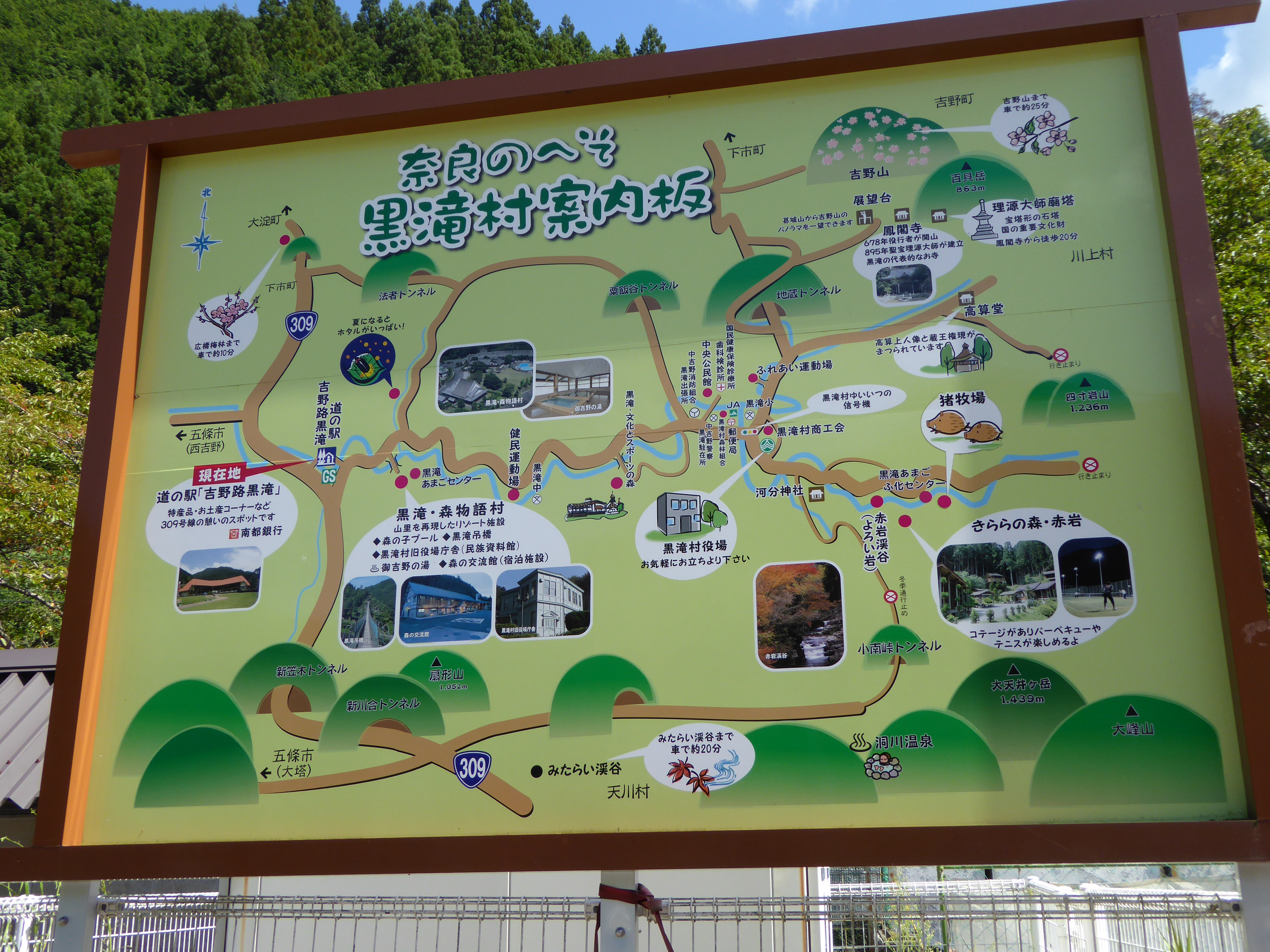 P1000558.JPG