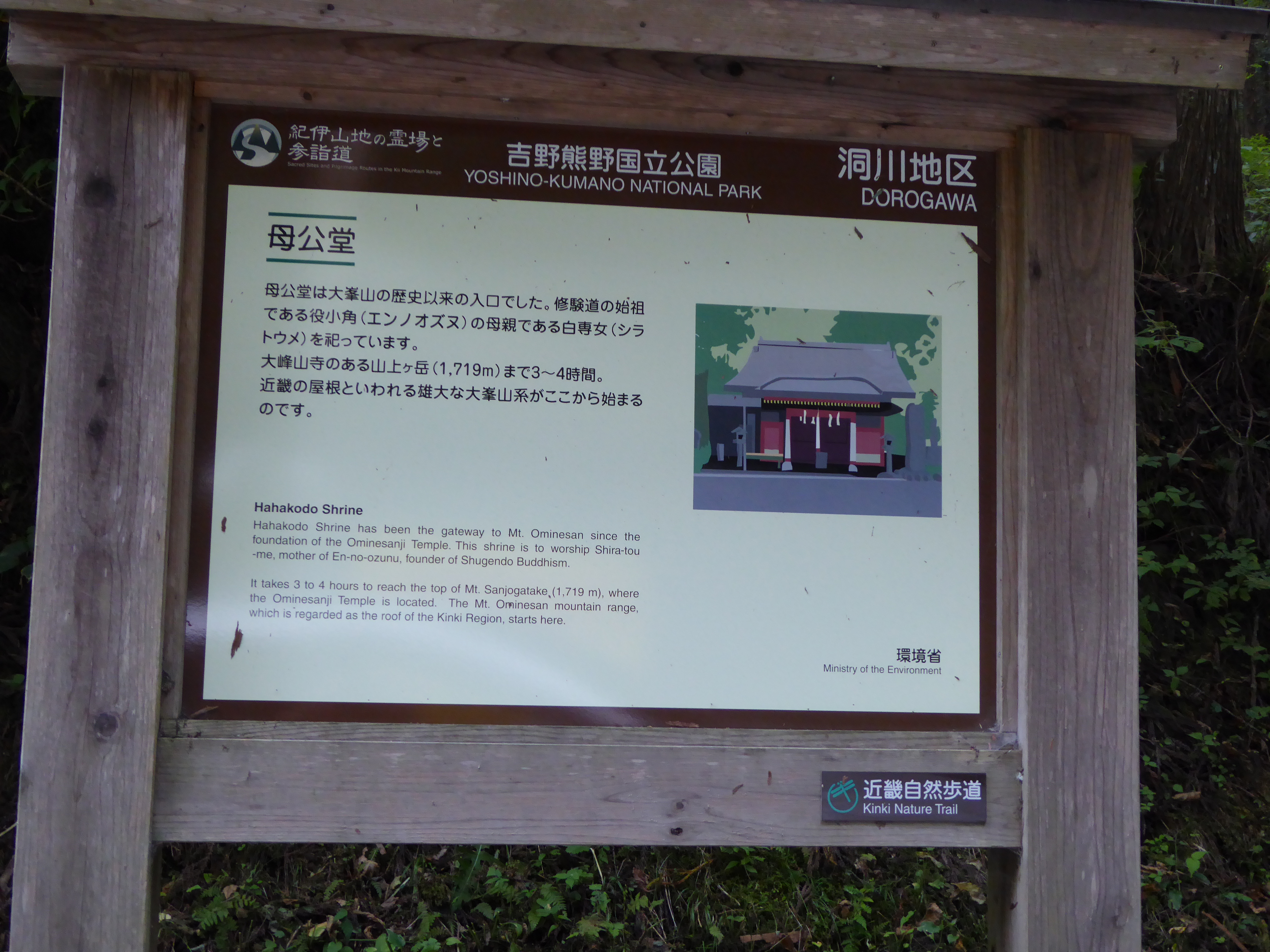 P1000561.JPG