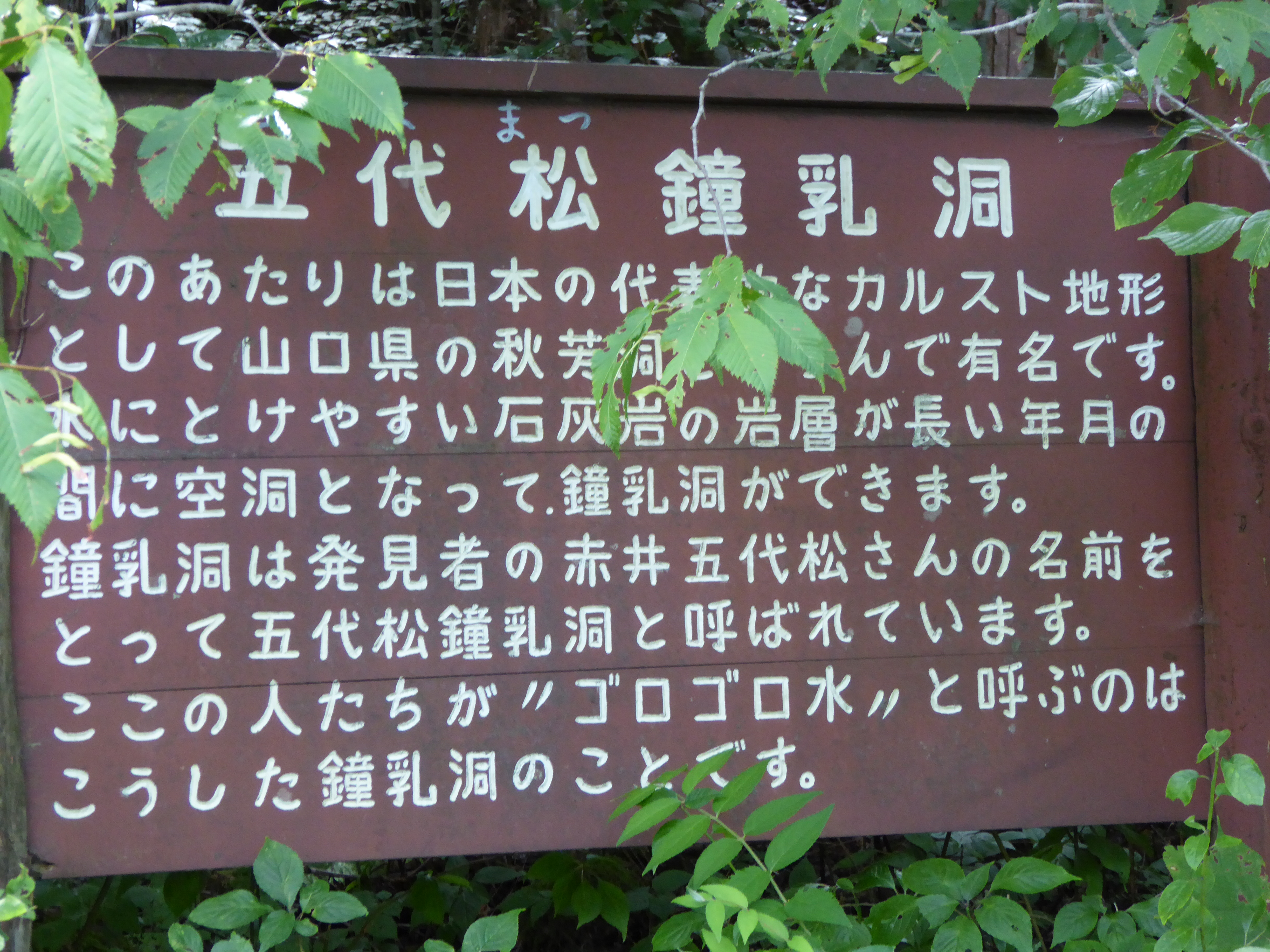 P1000562.JPG