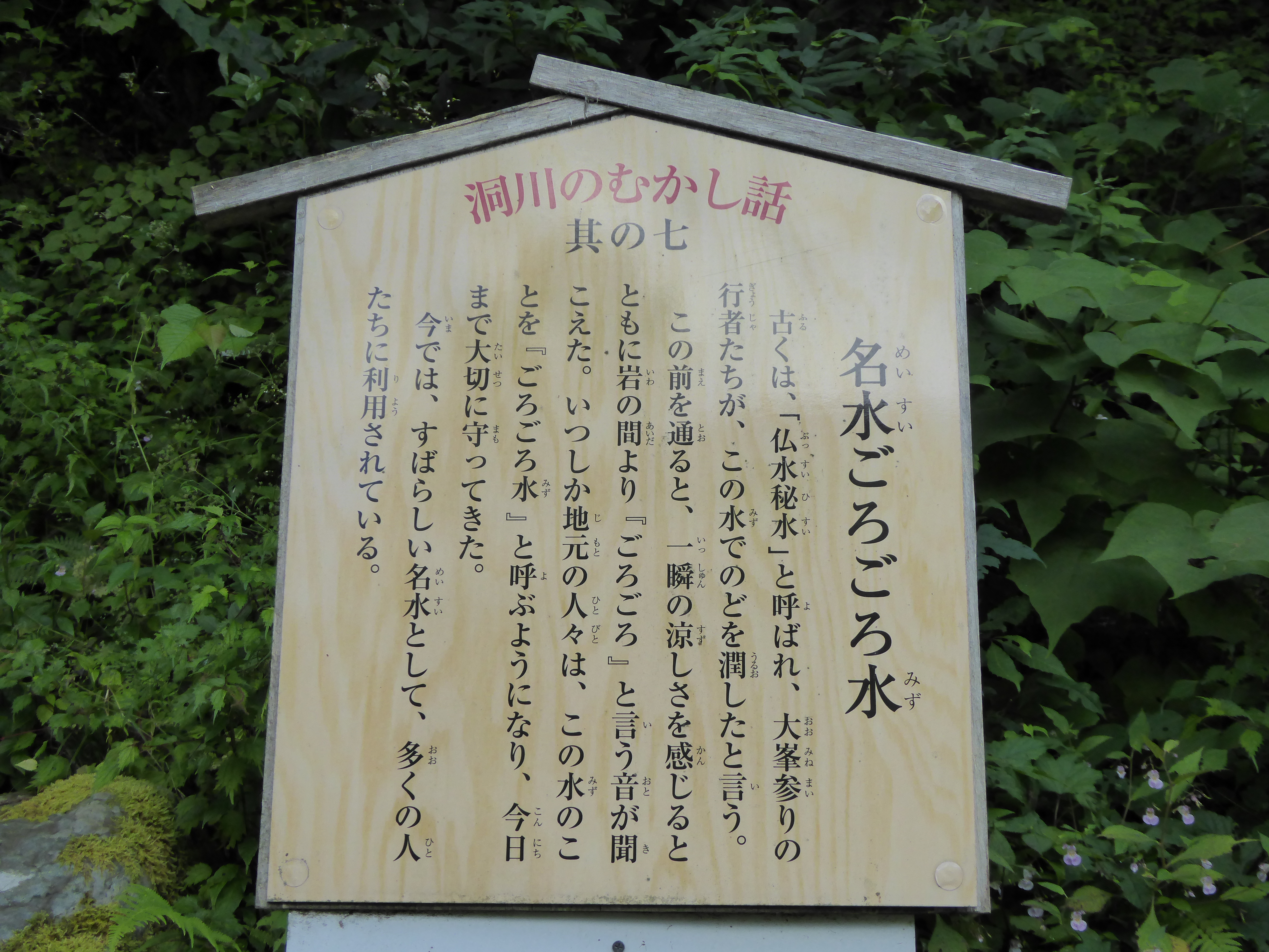 P1000563.JPG