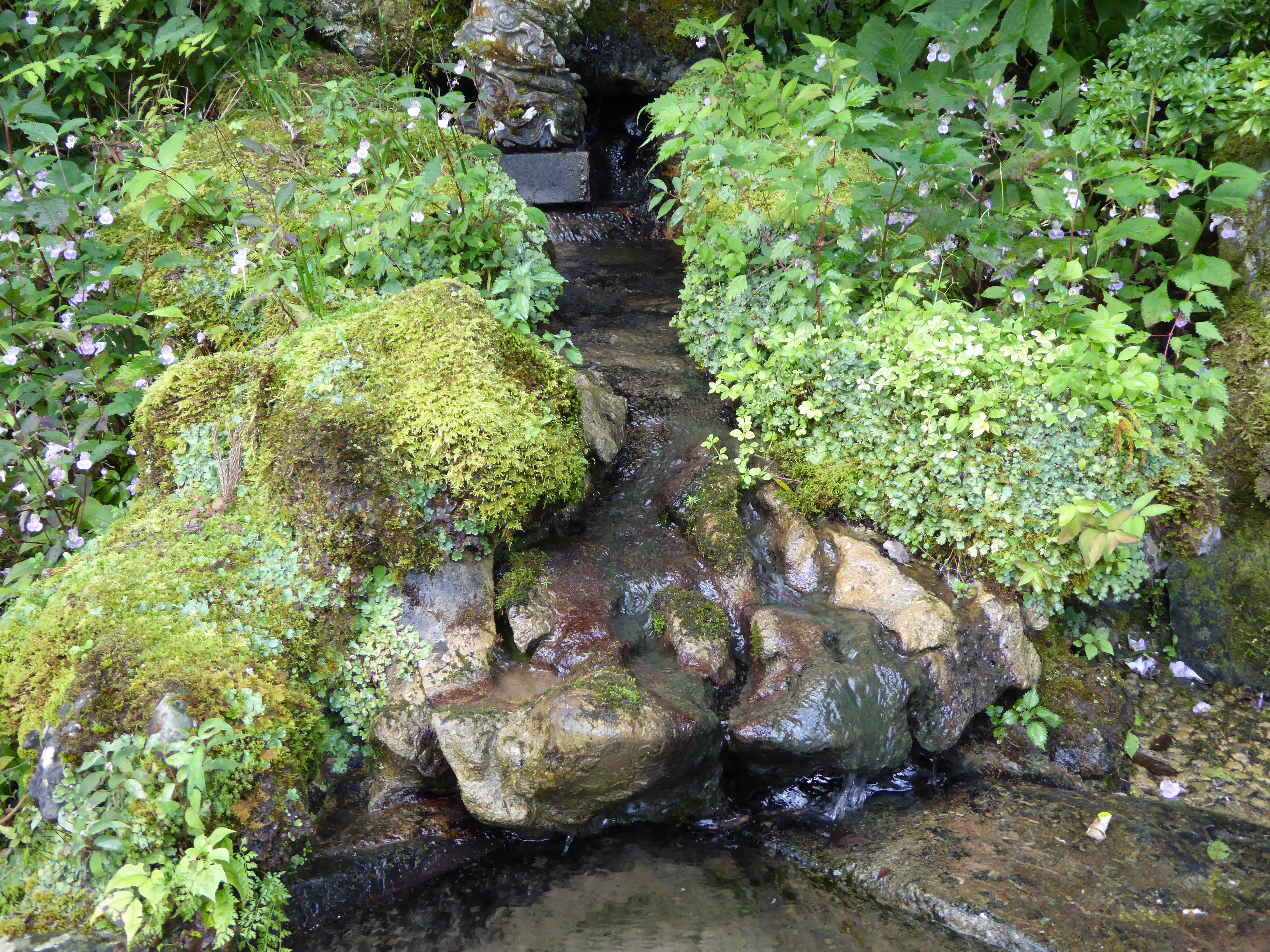 P1000564.JPG