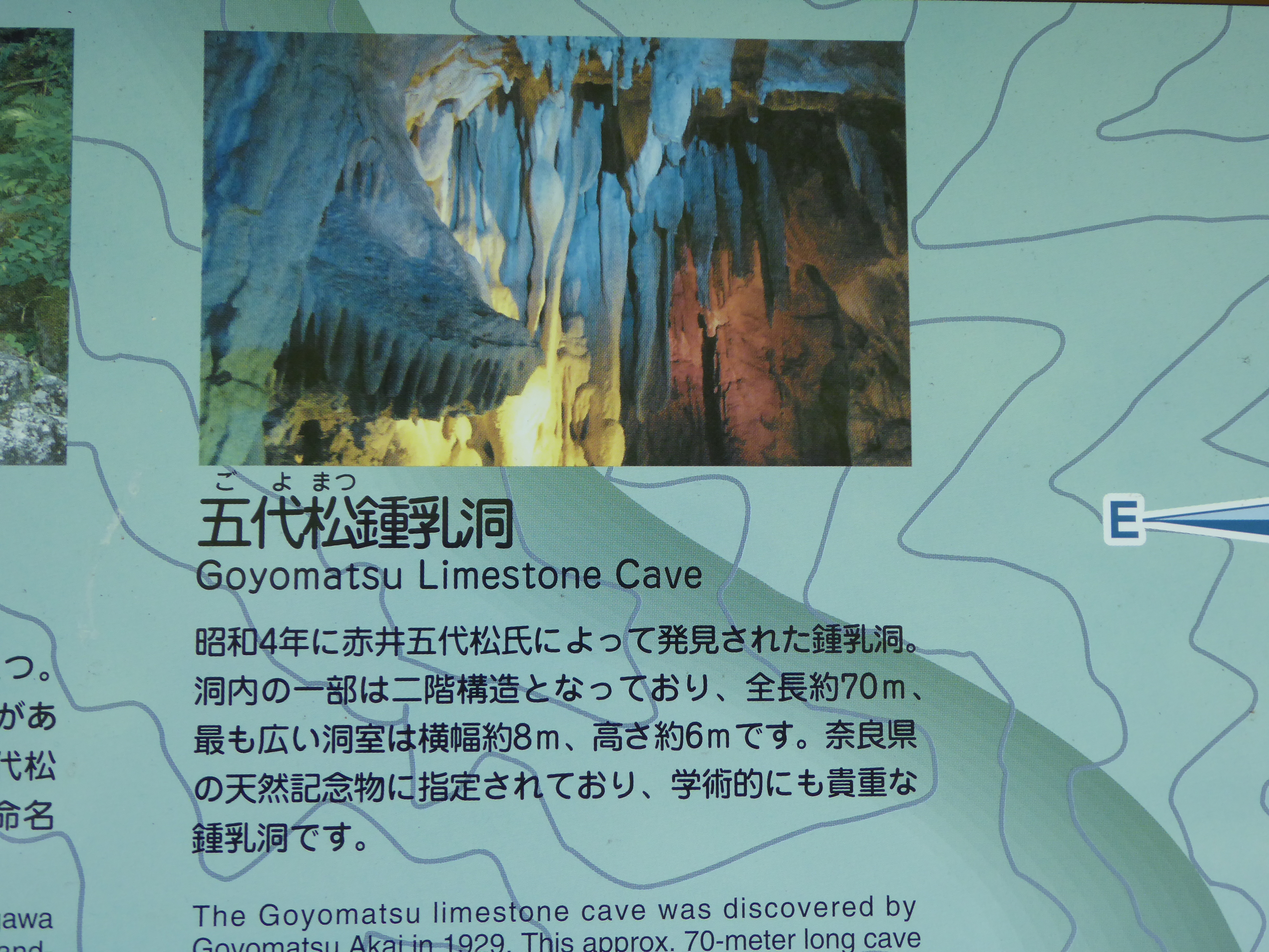 P1000568.JPG