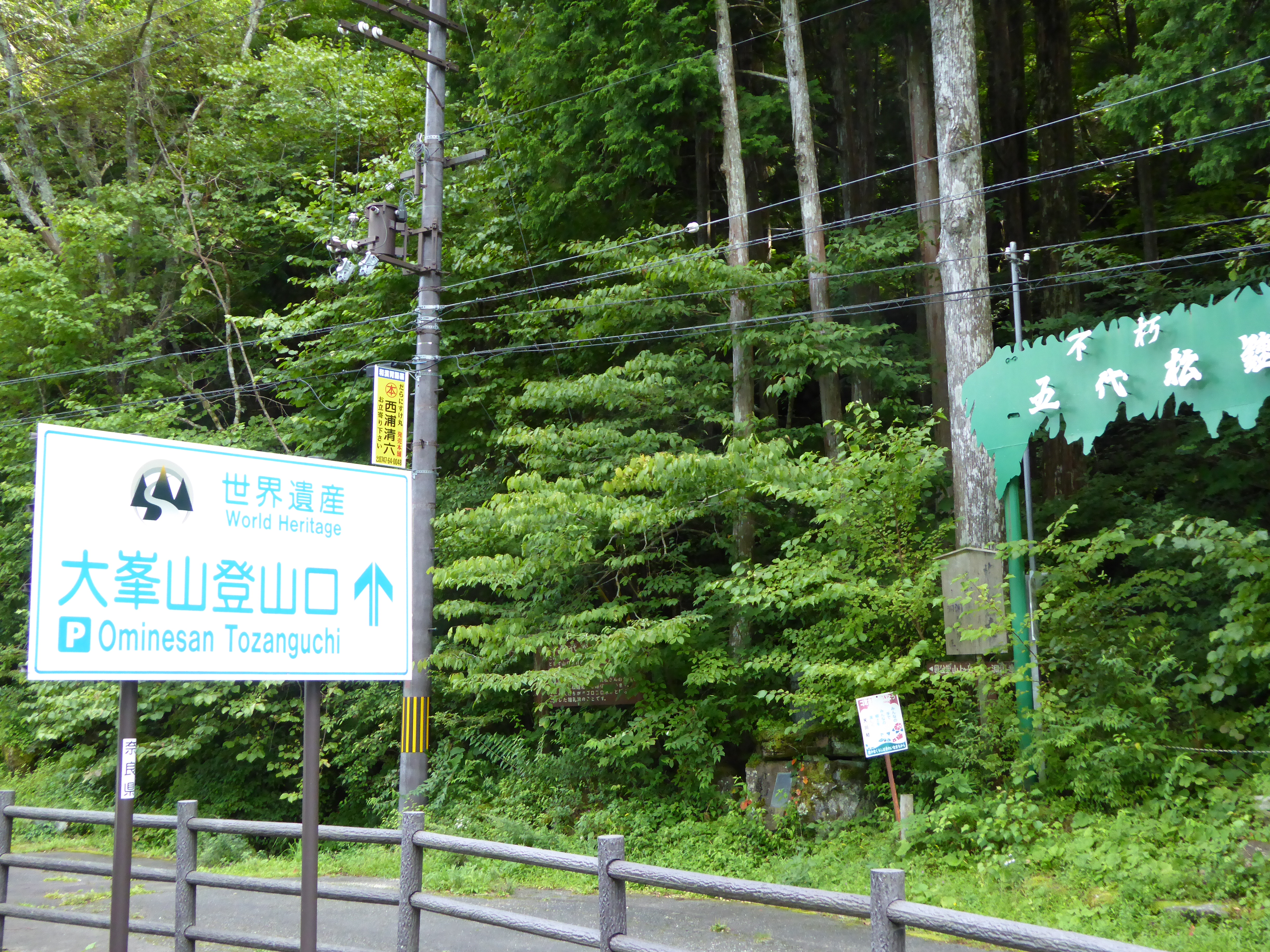 P1000570.JPG