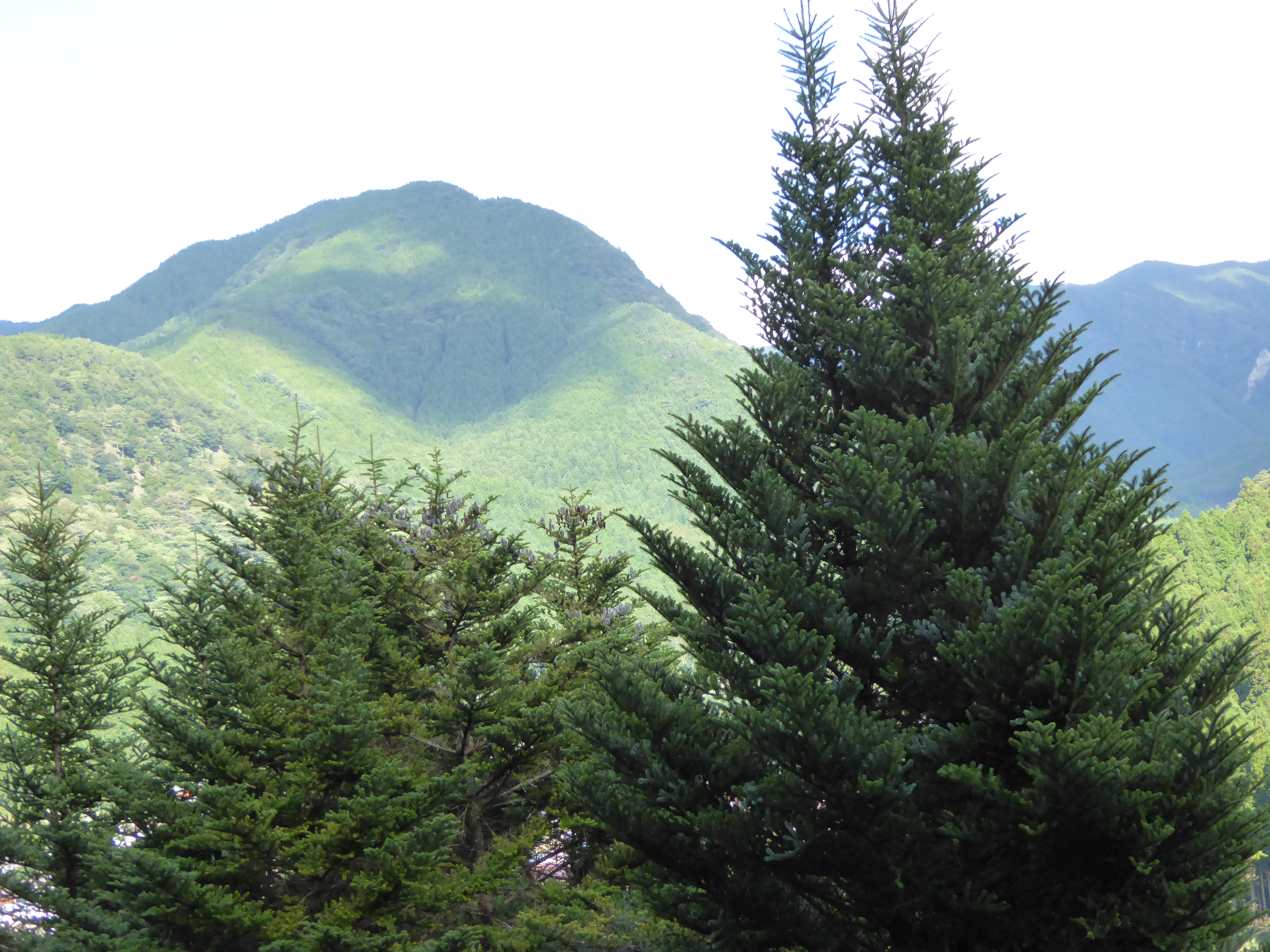 P1000587.JPG