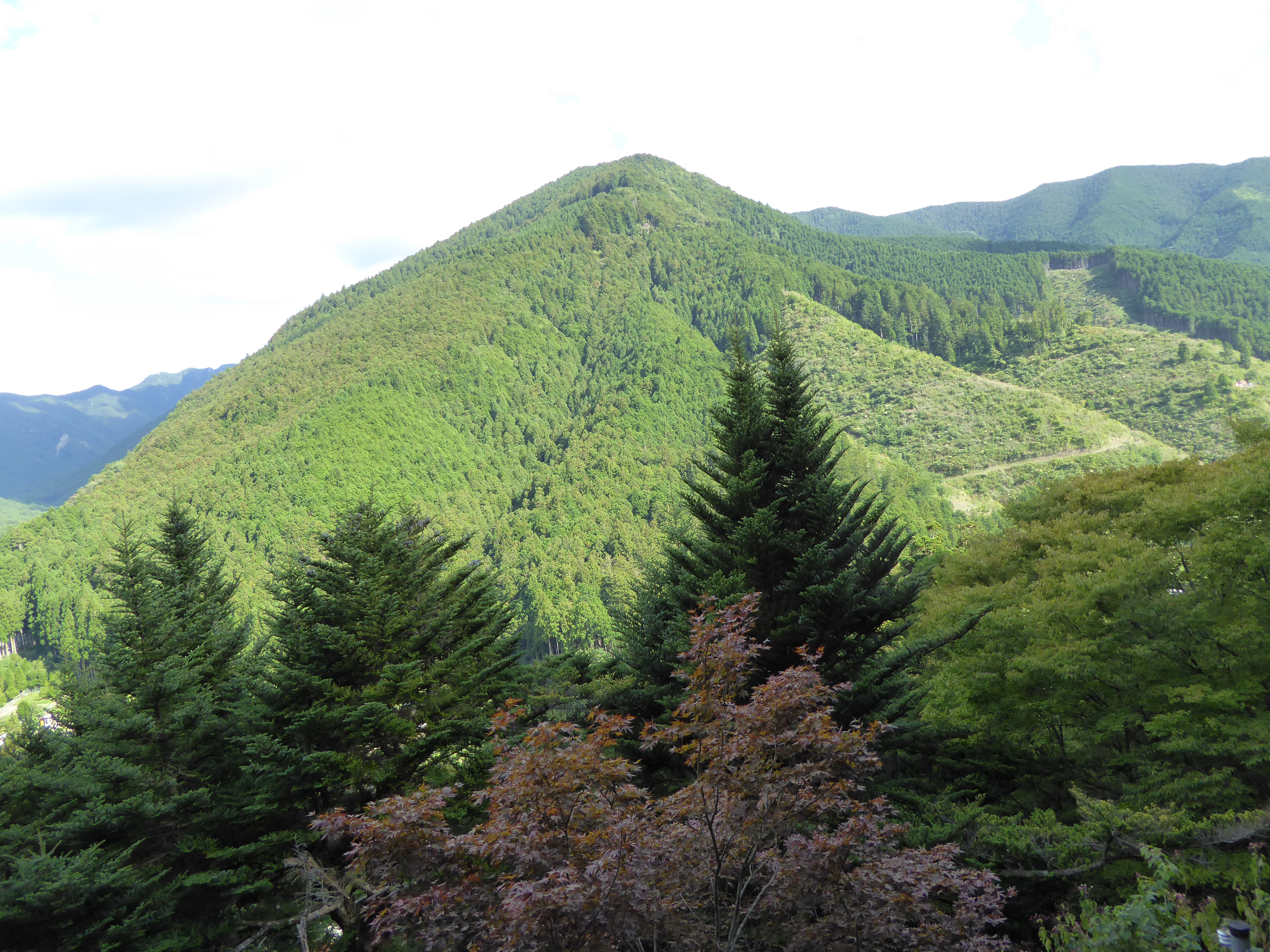 P1000588.JPG
