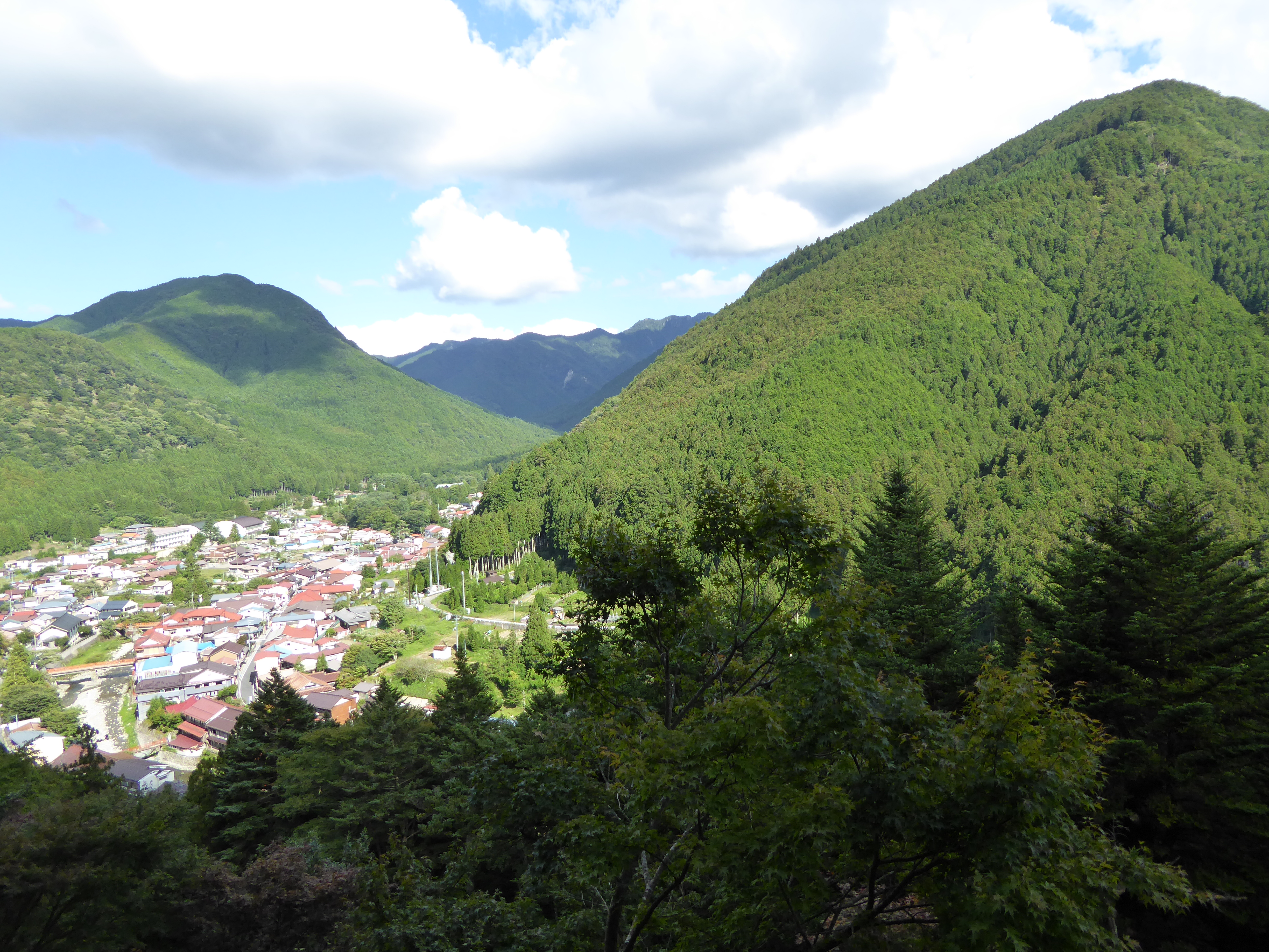 P1000589.JPG
