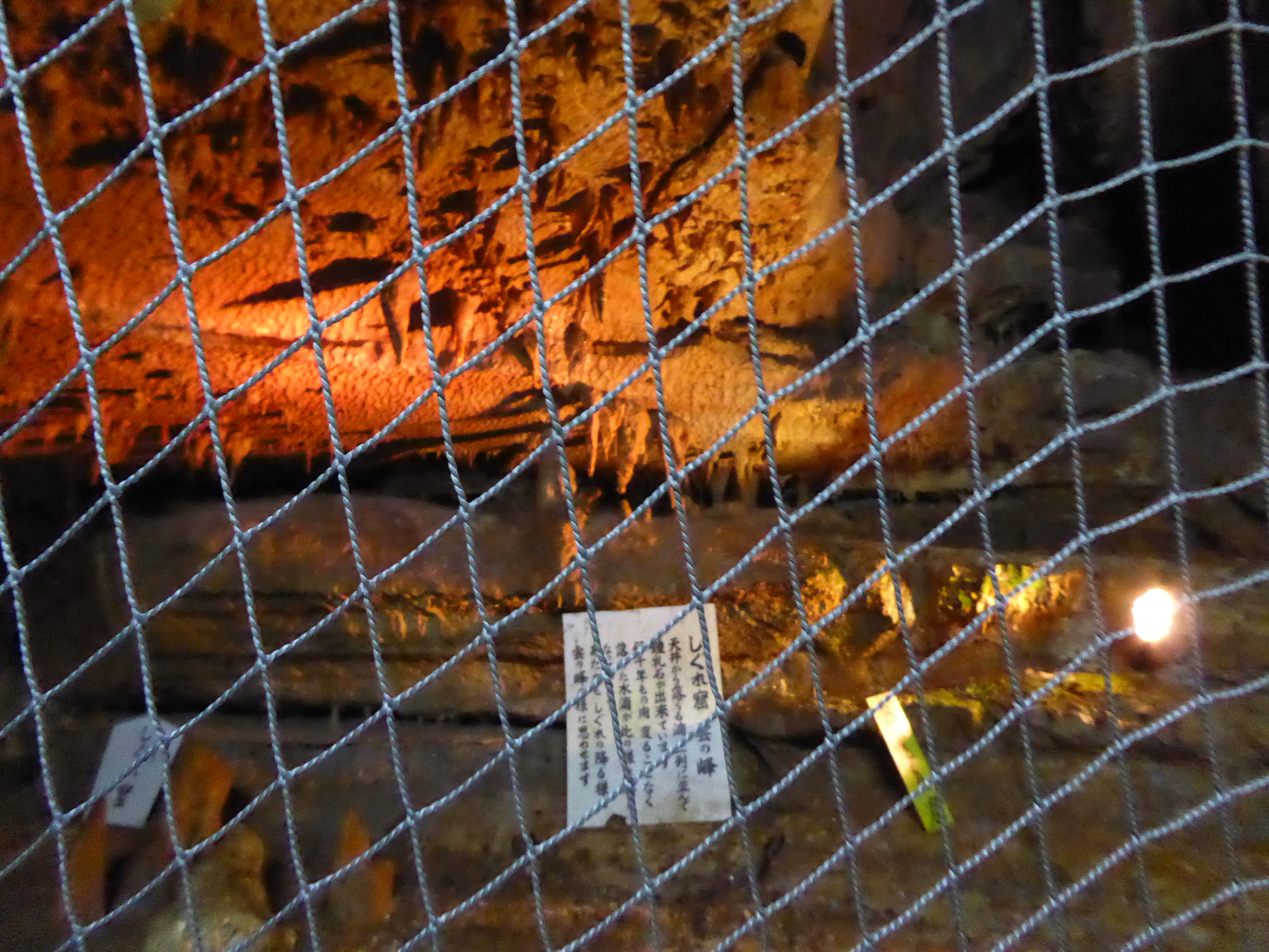 P1000603.JPG
