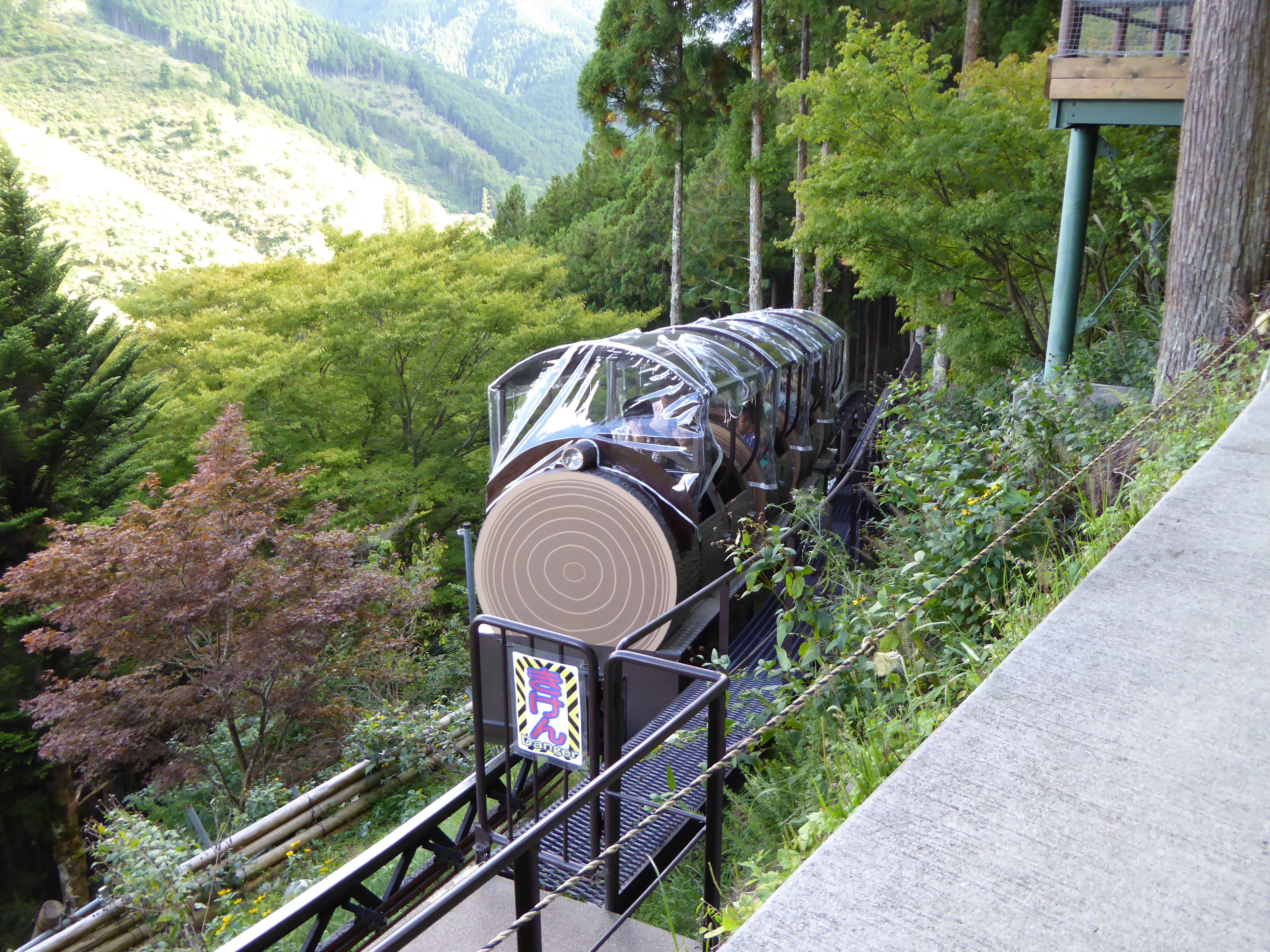 P1000613.JPG