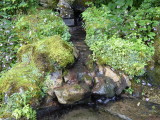 img0009.jpg