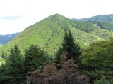 img0033.jpg