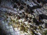 img0039.jpg