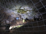 img0041.jpg