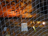 img0046.jpg